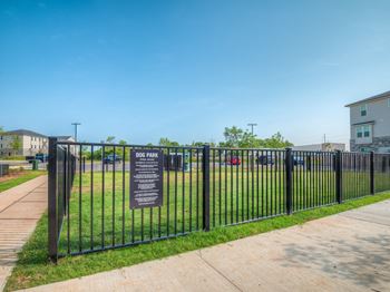 Dog park